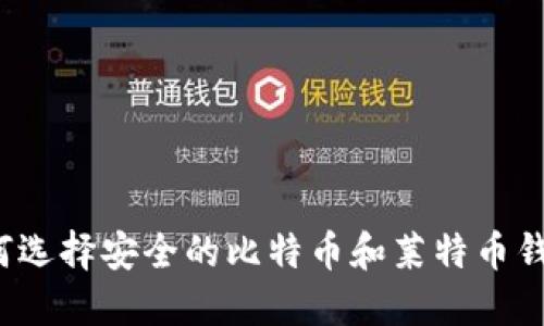 如何选择安全的比特币和莱特币钱包？