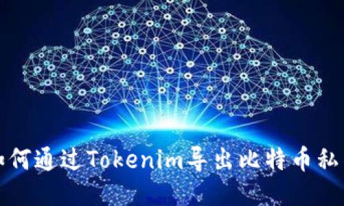 如何通过Tokenim导出比特币私钥