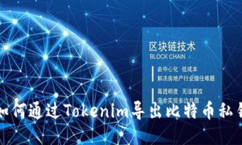 如何通过Tokenim导出比特币私钥