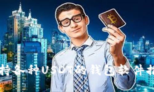 支持各种USDT的钱包软件推荐
