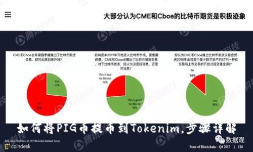 如何将PIG币提币到Tokenim，步骤详解