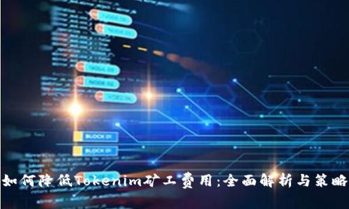 如何降低Tokenim矿工费用：全面解析与策略