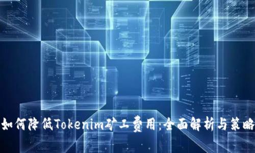 如何降低Tokenim矿工费用：全面解析与策略