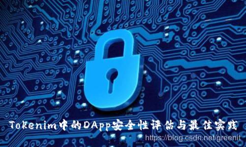 Tokenim中的DApp安全性评估与最佳实践