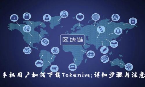 国内手机用户如何下载Tokenim：详细步骤与注意事项