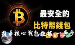 如何高效同步比特币核心钱包数据：一步步引导