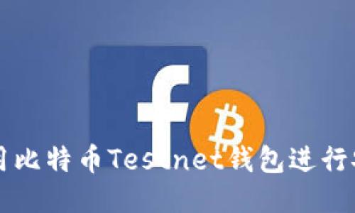 如何使用比特币Testnet钱包进行安全交易
