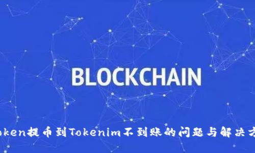 vToken提币到Tokenim不到账的问题与解决方案