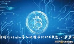 如何将Tokenim导入比特币（BTC）钱包：一步步详解