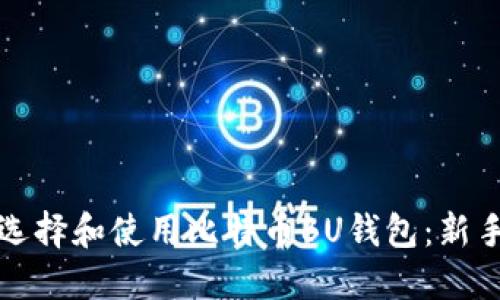 如何选择和使用比特币BU钱包：新手指南