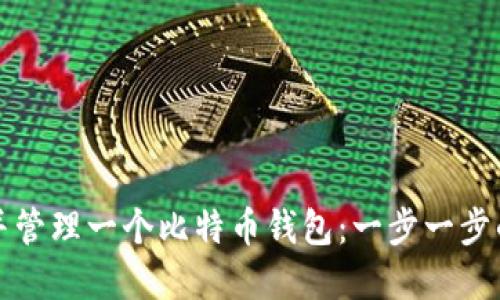 如何创建并管理一个比特币钱包：一步一步的详尽指南