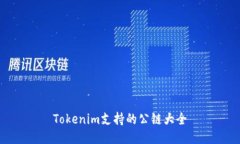 Tokenim支持的公链大全