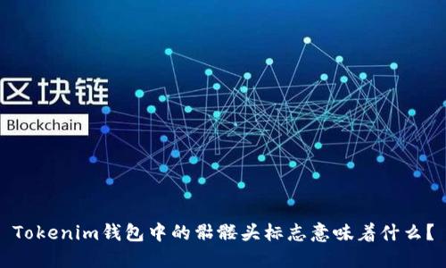 Tokenim钱包中的骷髅头标志意味着什么？