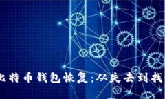 biasoti比特币钱包恢复：从失去到找回的旅程
