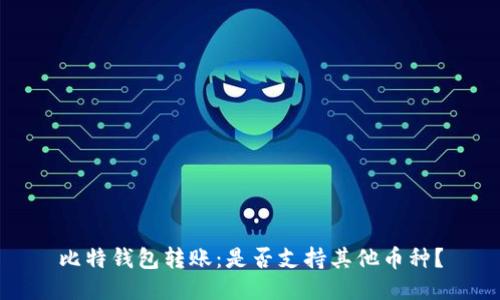 比特钱包转账：是否支持其他币种？