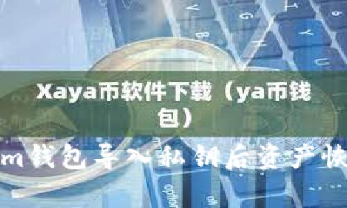 Tokenim钱包导入私钥后资产恢复指南