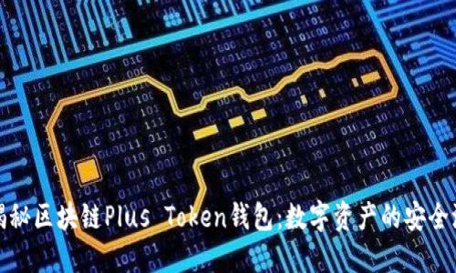 揭秘区块链Plus Token钱包：数字资产的安全港