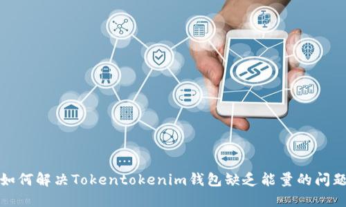 如何解决Tokentokenim钱包缺乏能量的问题