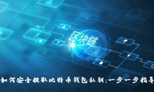如何安全提取比特币钱包私钥：一步一步指导