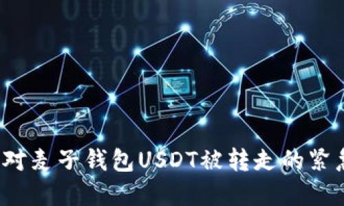 如何应对麦子钱包USDT被转走的紧急情况？