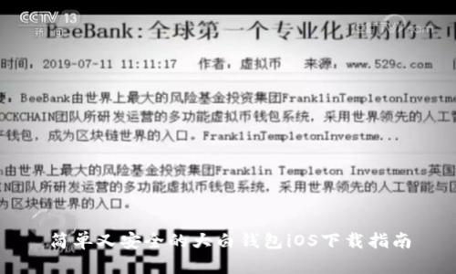 简单又安全的大白钱包iOS下载指南