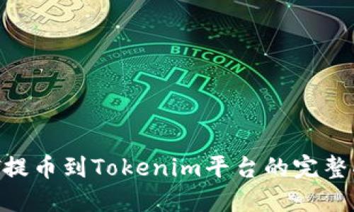NFT提币到Tokenim平台的完整指南