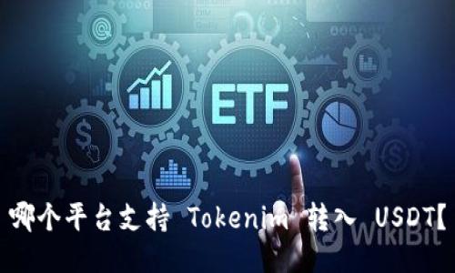 哪个平台支持 Tokenim 转入 USDT？