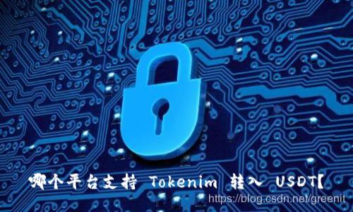 哪个平台支持 Tokenim 转入 USDT？