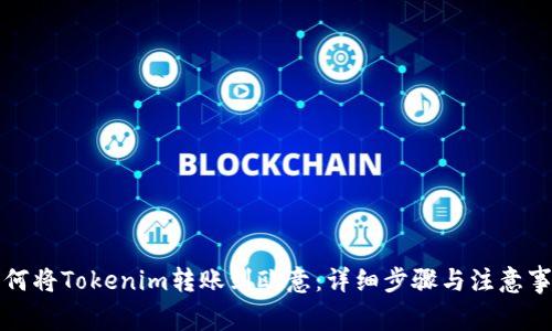 如何将Tokenim转账到欧意：详细步骤与注意事项