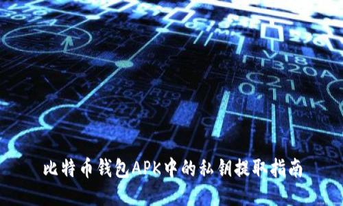 比特币钱包APK中的私钥提取指南