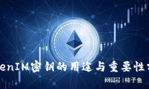 TokenIM密钥的用途与重要性分析