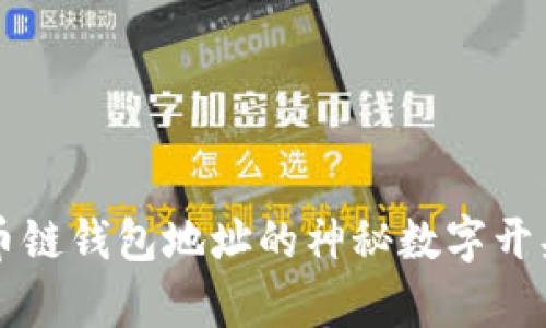 比特币链钱包地址的神秘数字开头解析