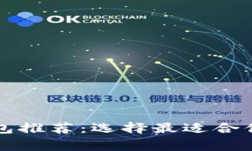 常用的比特币钱包推荐：选择最适合你的安全存储方案