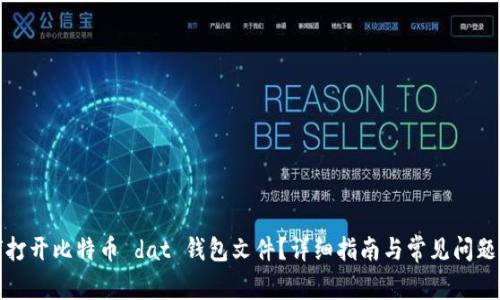 如何打开比特币 dat 钱包文件？详细指南与常见问题解答