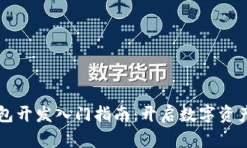 区块链钱包开发入门指南：开启数字资产的新世界