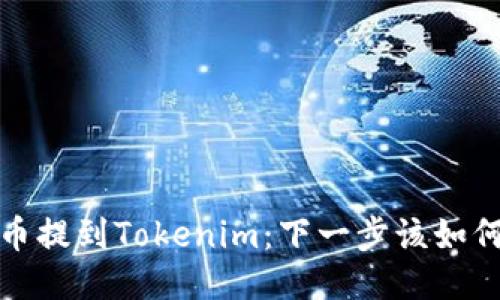 狗狗币提到Tokenim：下一步该如何应对