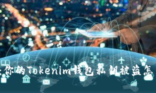 警惕：你的Tokenim钱包私钥被盗怎么办？