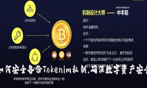 如何安全备份Tokenim私钥，确保数字资产安全