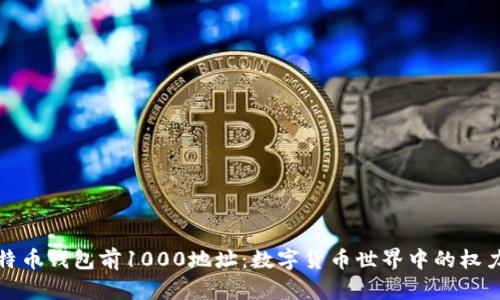 揭秘比特币钱包前1000地址：数字货币世界中的权力与财富