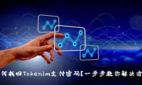 如何找回Tokenim支付密码？一步步教你解决方案