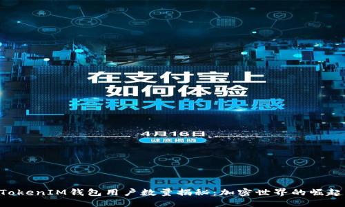 TokenTokenIM钱包用户数量揭秘：加密世界的崛起与未来