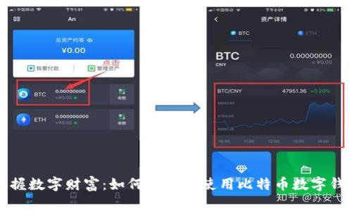 掌握数字财富：如何选择和使用比特币数字钱包