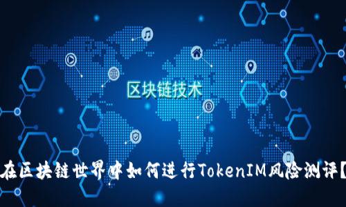 在区块链世界中如何进行TokenIM风险测评？