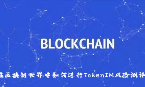 在区块链世界中如何进行TokenIM风险测评？
