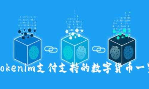Tokenim支付支持的数字货币一览