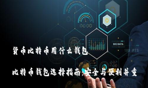 货币比特币用什么钱包

比特币钱包选择指南：安全与便利并重
