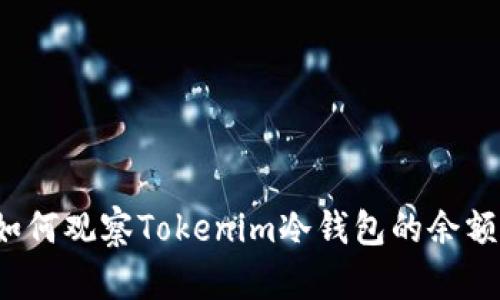 如何观察Tokenim冷钱包的余额？
