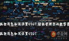 小狐狸钱包如何设置USDT：轻松管理你的数字资产
