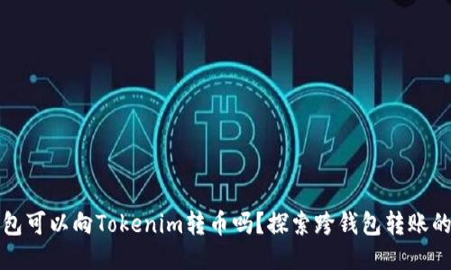 其他钱包可以向Tokenim转币吗？探索跨钱包转账的可能性