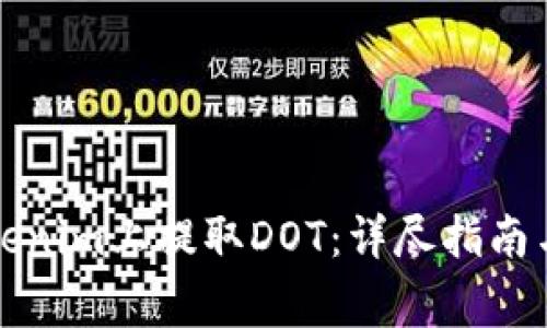 如何在Tokenim上提取DOT：详尽指南与注意事项